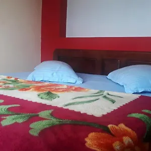 https://willow-hill-leisure-home-munnar.kerala-hotels.net